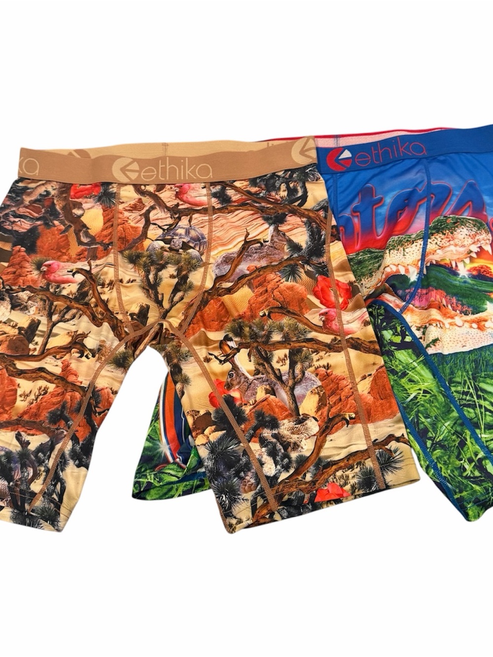 2 Pair Ethika Boxer Briefs Men’s Large NCAA Florida Gators Joshua Camo